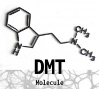 Dmt
