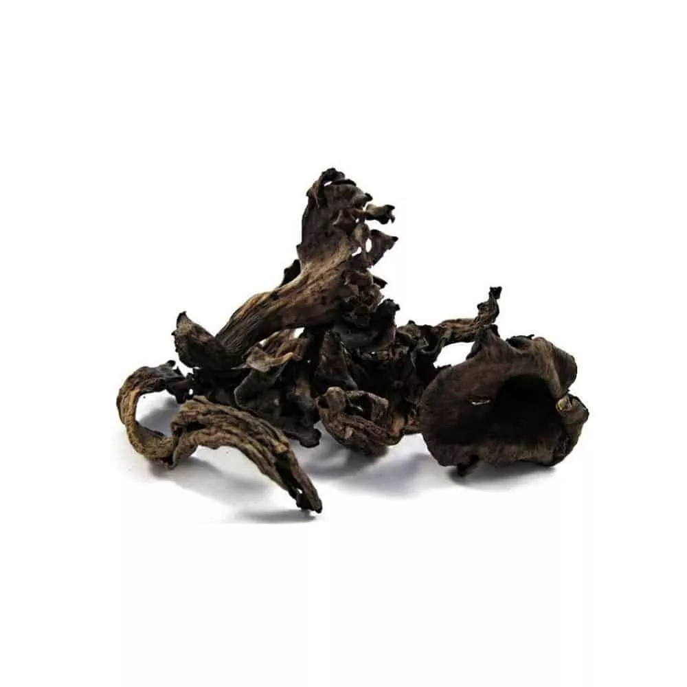 dried-black-trumpet-mushroom. Dried Black Trumpet Mushroom dried-black-trumpet-mushroom. Dried Black Trumpet Mushroom