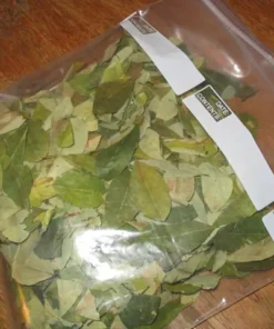 buy-coca-leaves-online. Buy Coca Leaves Online