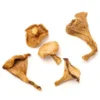 dried-chanterelle-mushrooms. Dried Chanterelle Mushrooms