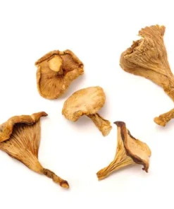 dried-chanterelle-mushrooms. Dried Chanterelle Mushrooms