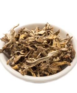 dried-maitake-mushroom. Dried Maitake Mushroom