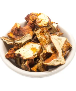dried-lobster-mushroom. Dried Lobster Mushroom