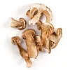 dried-porcini-mushrooms. Dried Porcini Mushrooms
