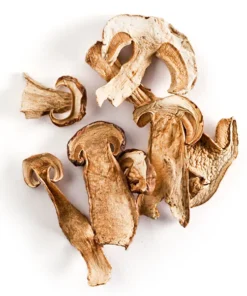 dried-porcini-mushrooms. Dried Porcini Mushrooms