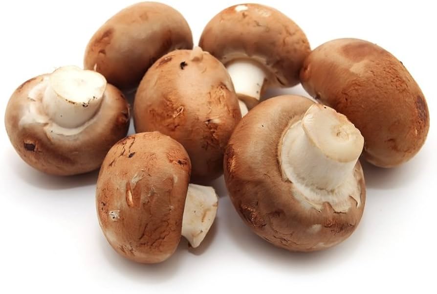 amazon-mushrooms. Amazon Mushrooms amazon-mushrooms. Amazon Mushrooms